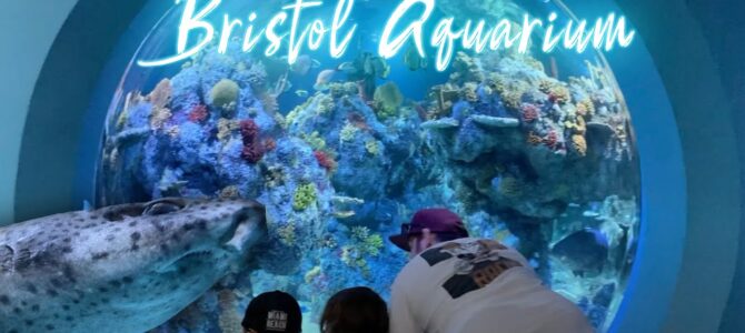 Bristol Aquarium